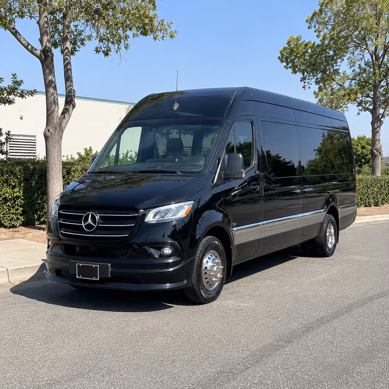sprinter van with driver